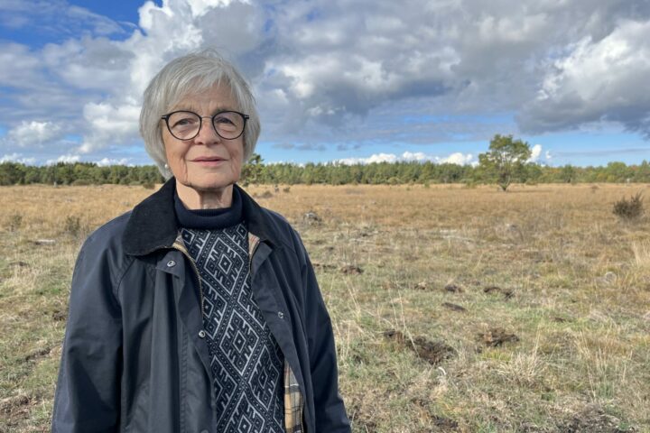 Elna-Brith af Wåhlberg ser möjligheterna. Här ska framtidens solpark samexistera med betande får.