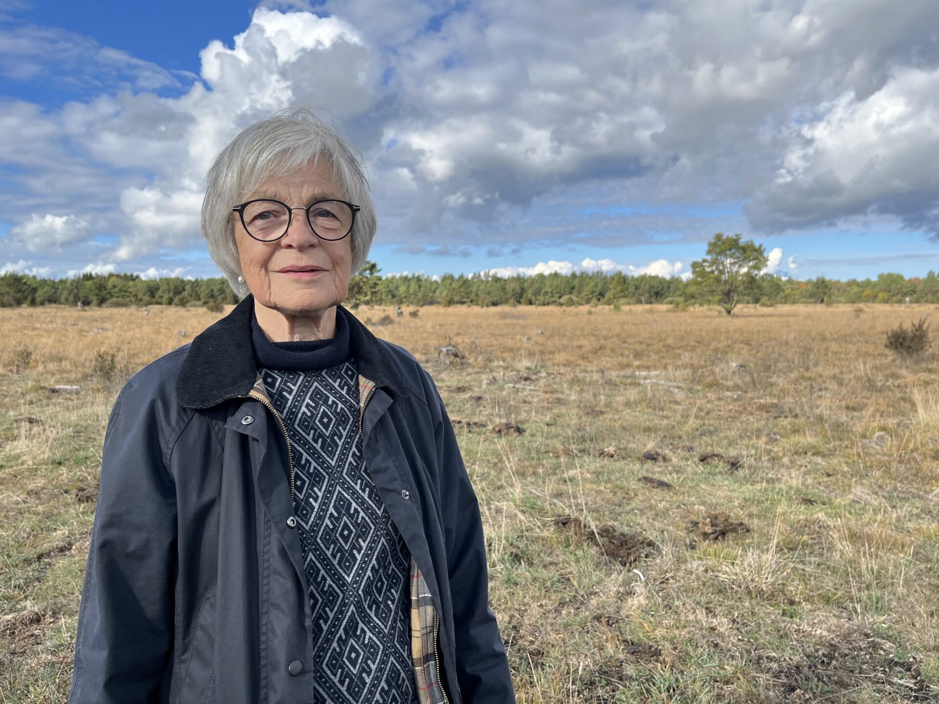Elna-Brith af Wåhlberg ser möjligheterna. Här ska framtidens solpark samexistera med betande får.